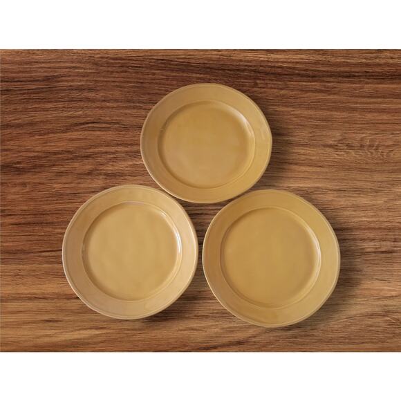 Euro Ceramic Portugal SAFARI Burnt Orange Stoneware Salad Plates 11" Set 3 - Picture 3 of 10